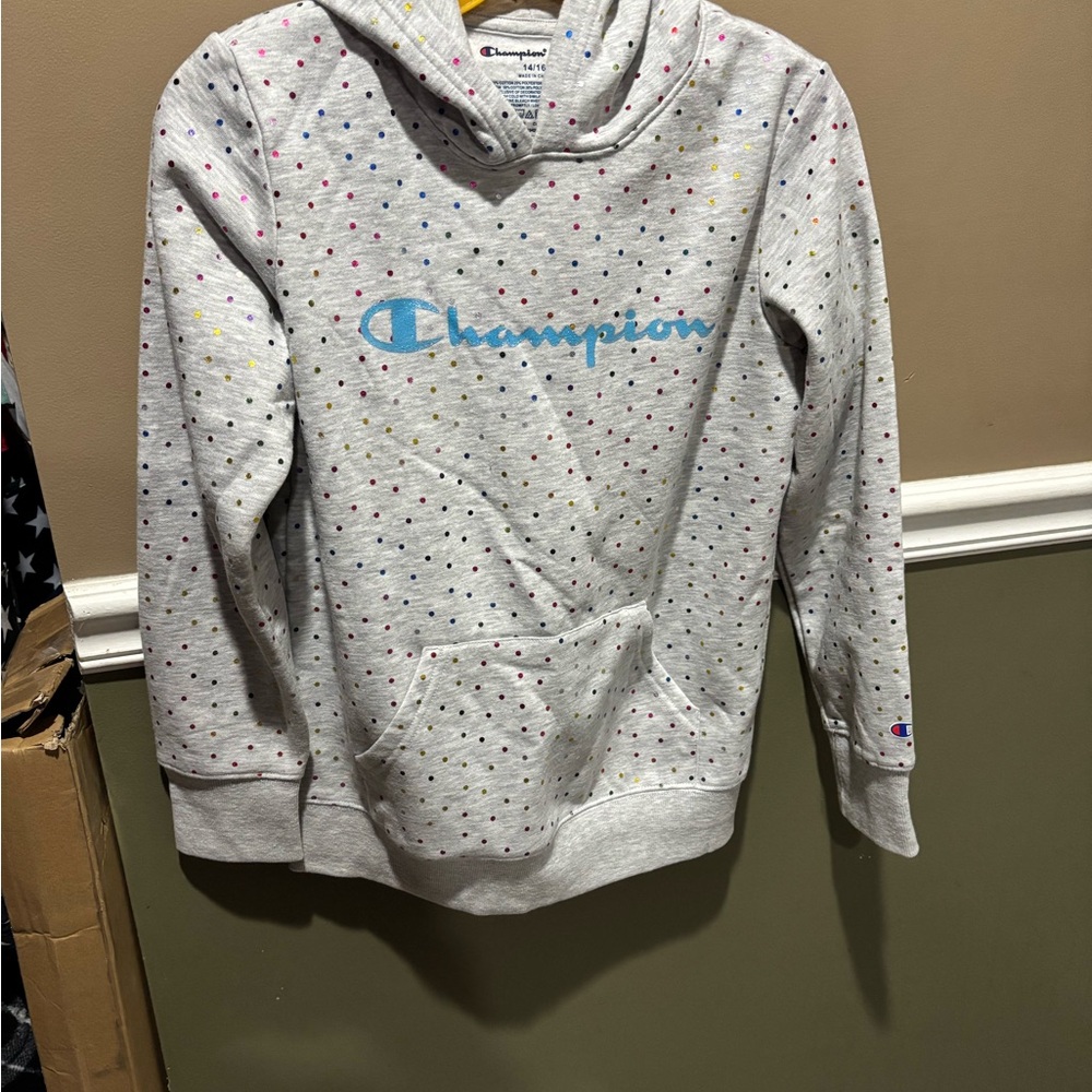 Champion Gray Pullover Sweatshirt with Logo